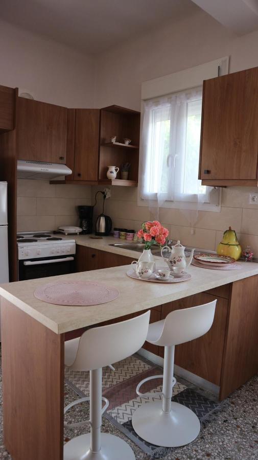 Artemis House Daire Ayos Nikolaos Dış mekan fotoğraf