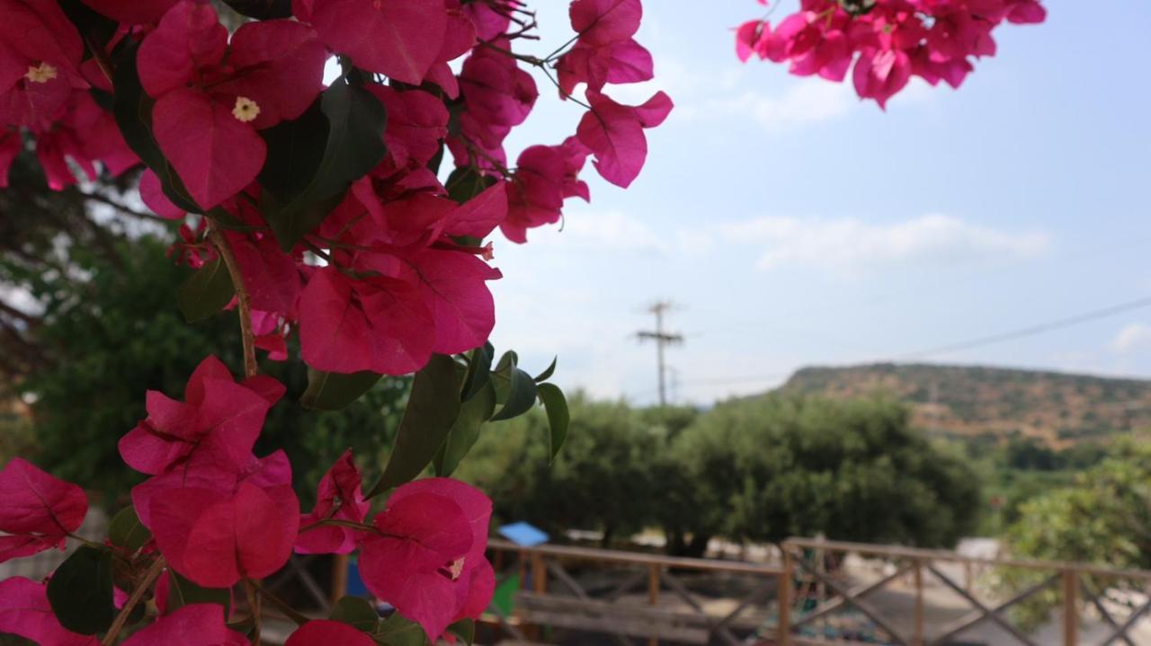 Artemis House Daire Ayos Nikolaos Dış mekan fotoğraf